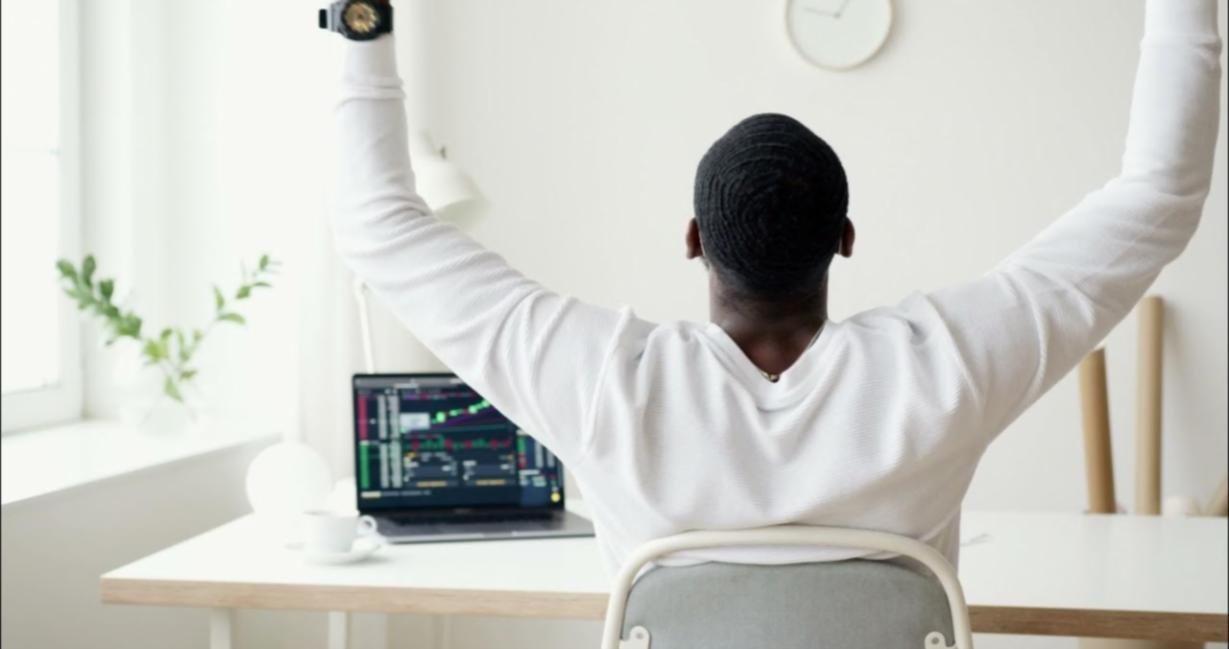 Backlink-Profil-Analyse mit Diagrammen